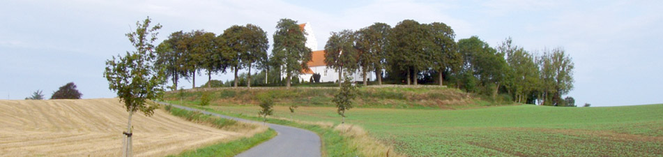 Ørslev kirke fra mark.jpg